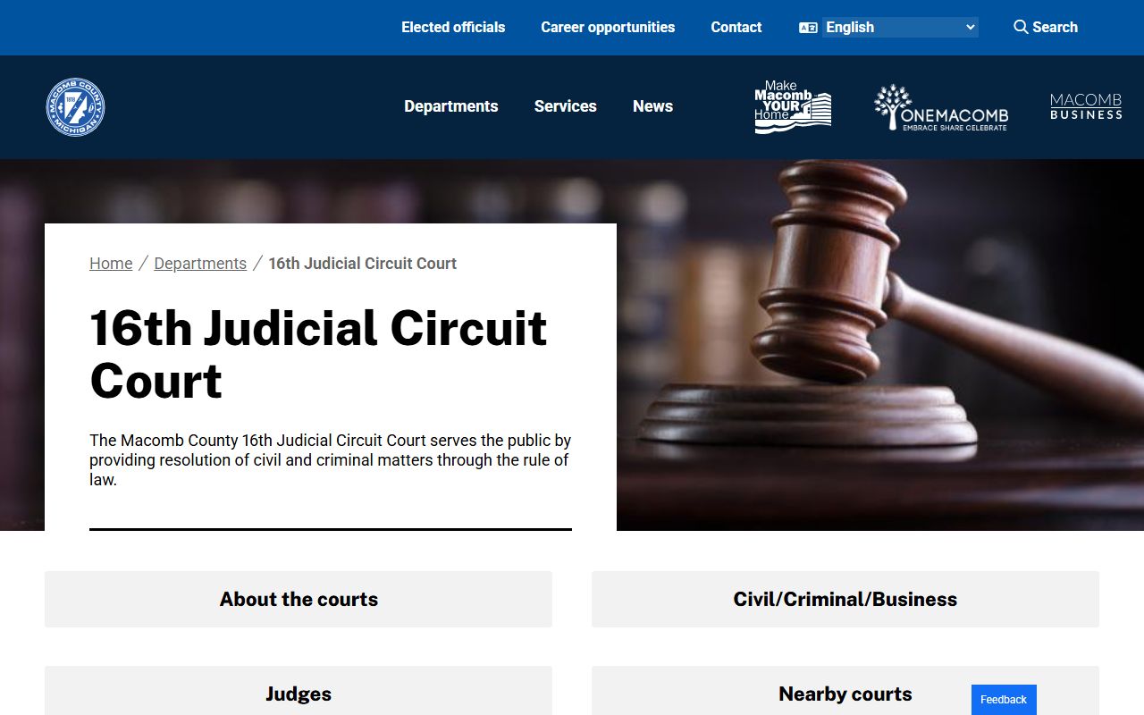 16th Judicial Circuit Court page with case lookup and services