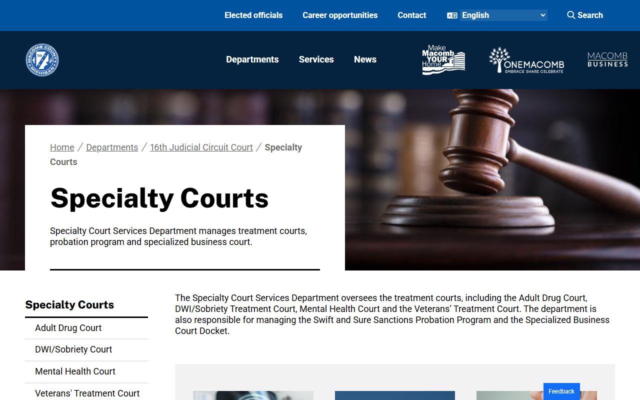 Macomb County Specialty Courts